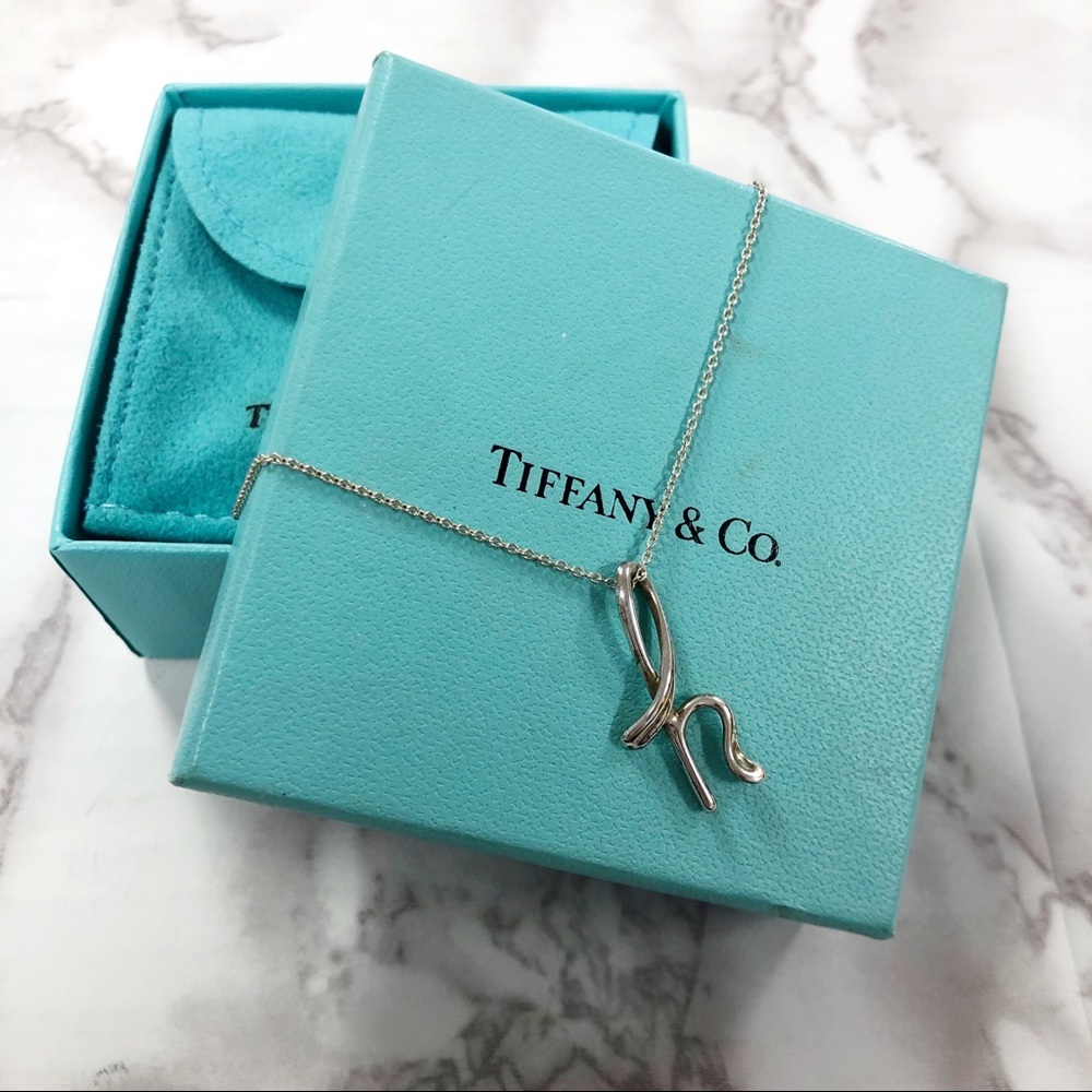TIFFANY & CO Elsa Peretti Letter “H” Necklace